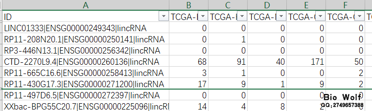 lncRNA矩阵