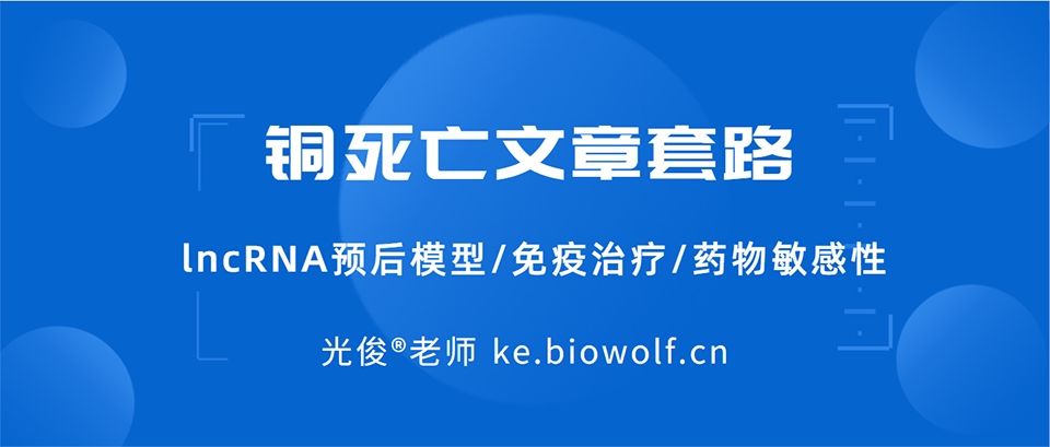 铜死亡文章套路视频(lncRNA预后模型/免疫治疗/药物敏感性)