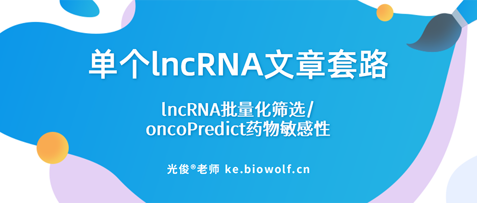 单个lncRNA文章套路(lncRNA批量化筛选/oncoPredict药物敏感性)