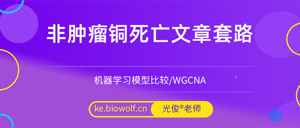 非肿瘤铜死亡文章套路视频(机器学习模型比较/WGCNA)