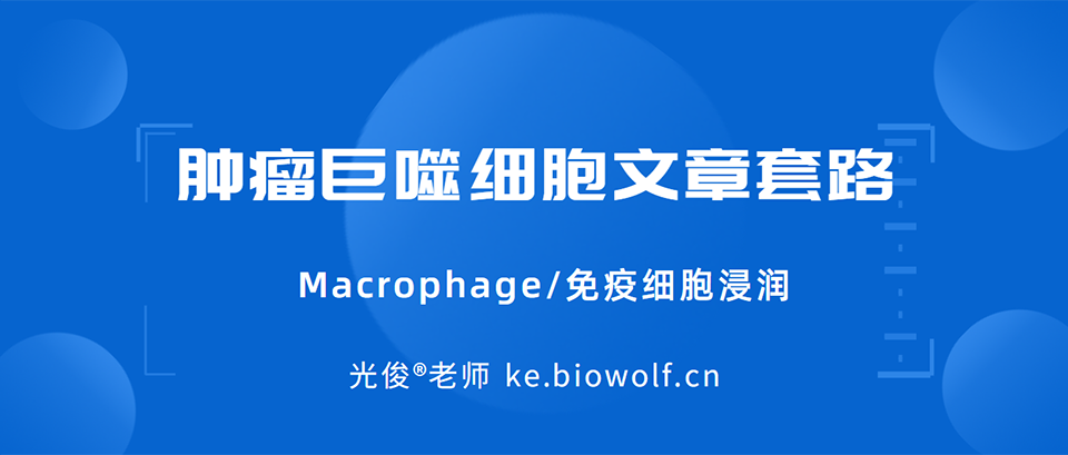 肿瘤巨噬细胞文章套路视频(Macrophage/免疫细胞浸润)