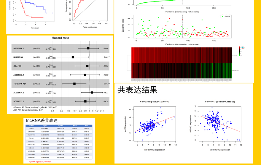 54tcgaLncRNA批量挖掘详情_04.jpg