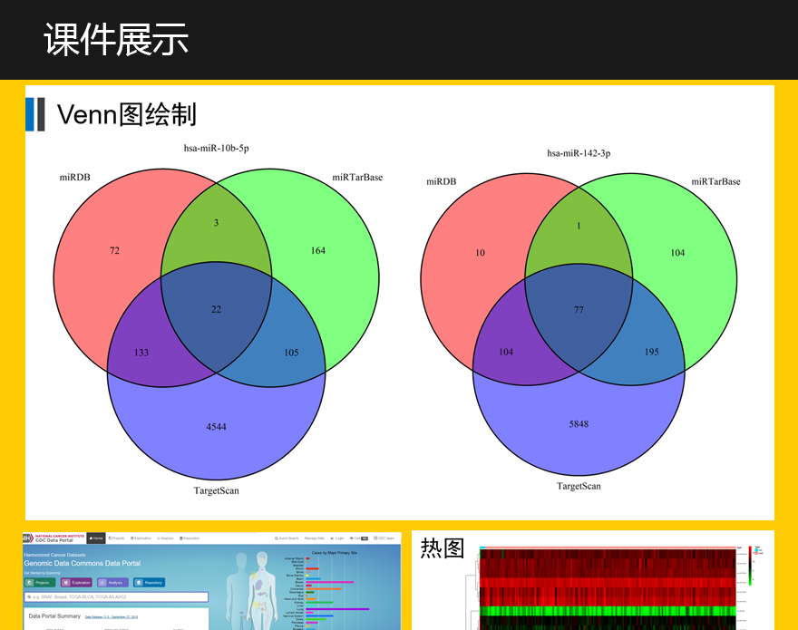 55TCGAmiRNA批量挖掘详情_03.jpg