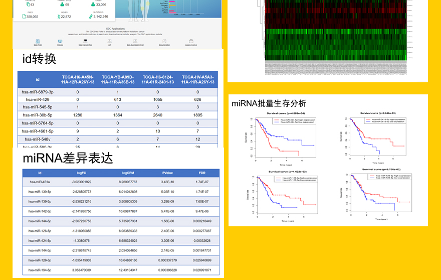 55TCGAmiRNA批量挖掘详情_04.jpg