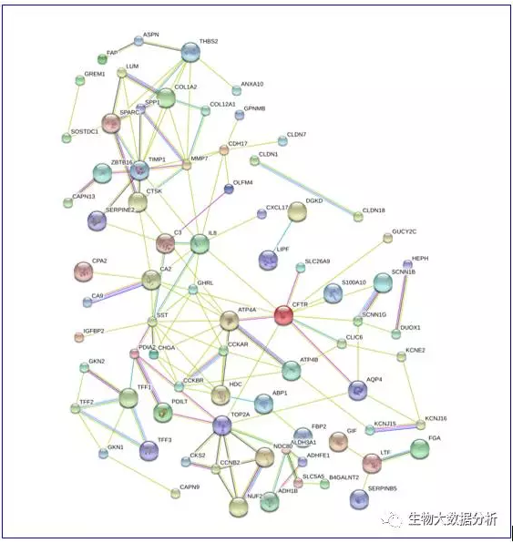 蛋白互作网络