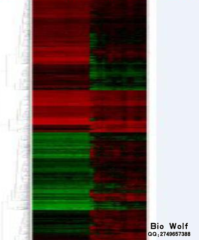 TCGA做差异分析得到的热图
