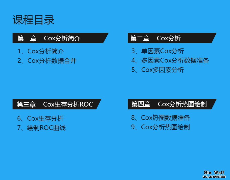 COX分析课程目录