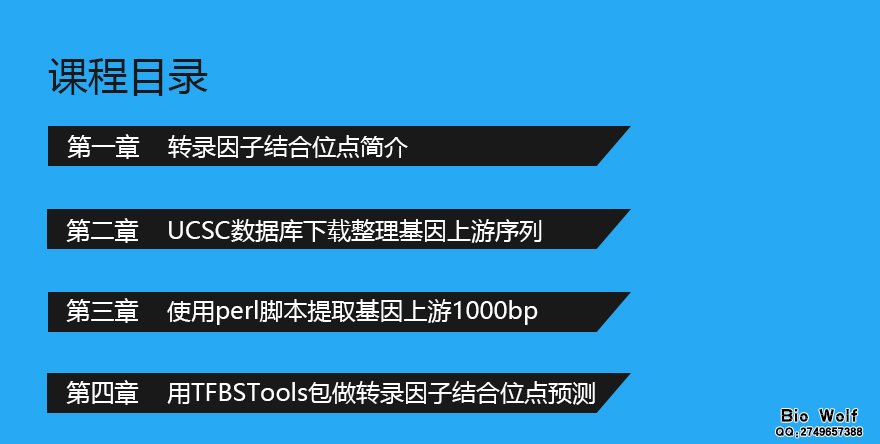 课程目录