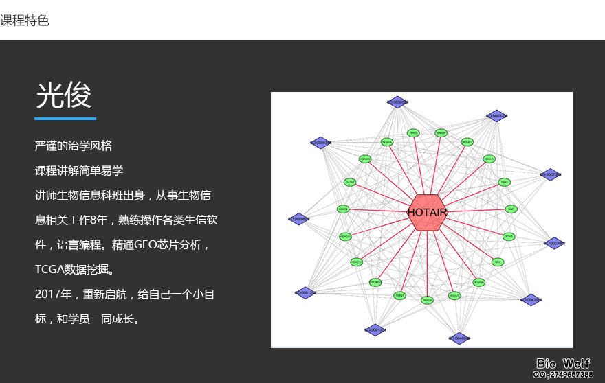 课程简介