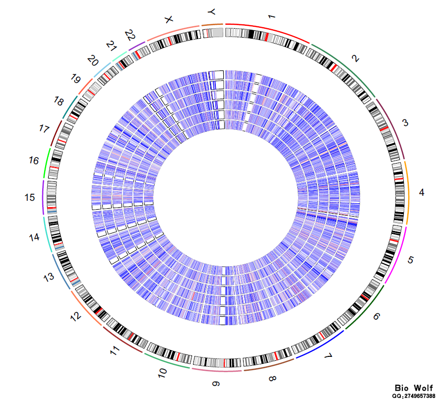 RCircos圈图展示