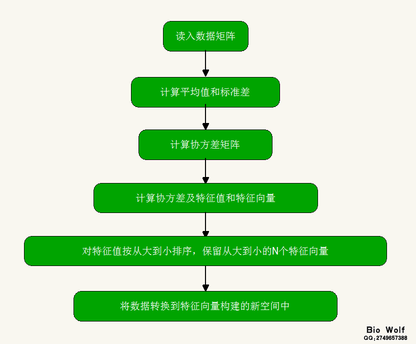 PCA分析过程