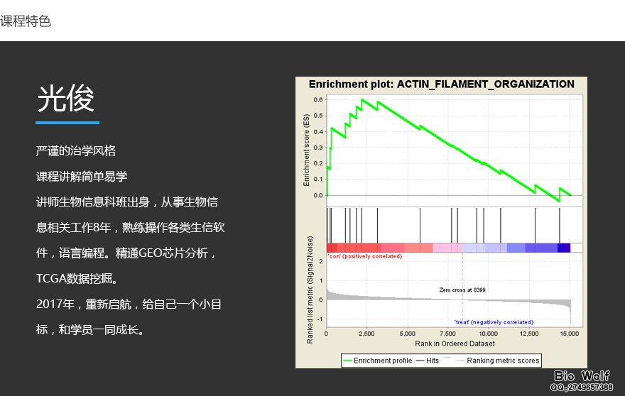 GSEA富集分析