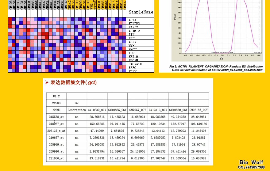 GSEA富集分析