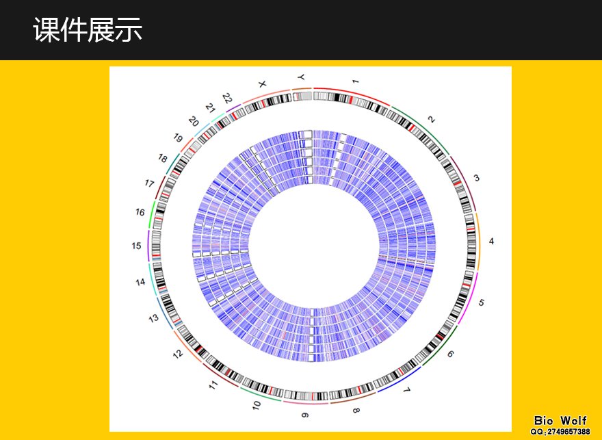 RCircos圈图绘制