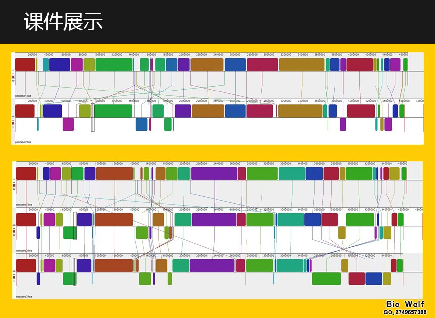 共线性分析