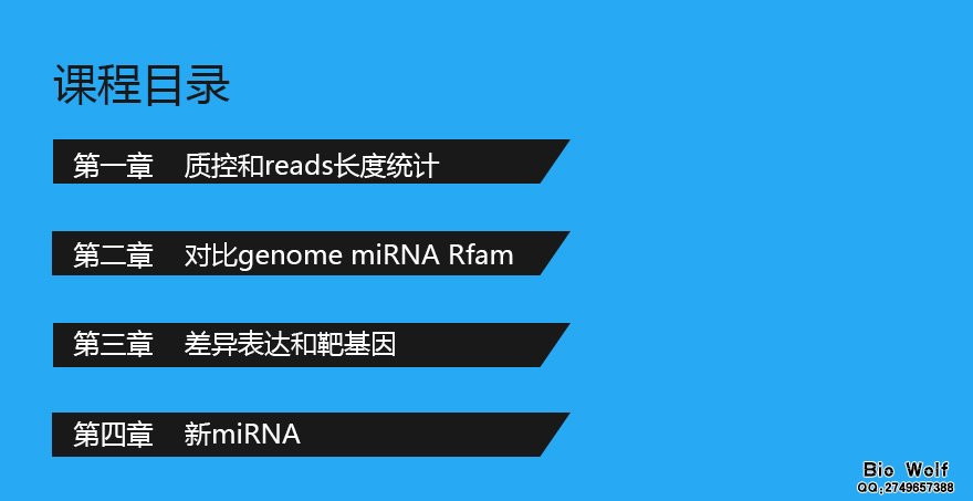 小RNA