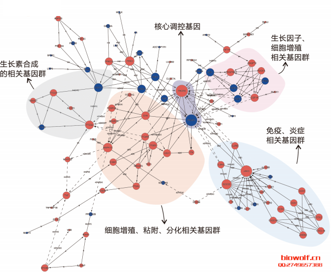 全局信号转导网络