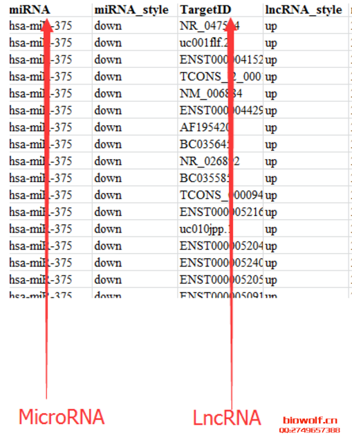 lncRNA