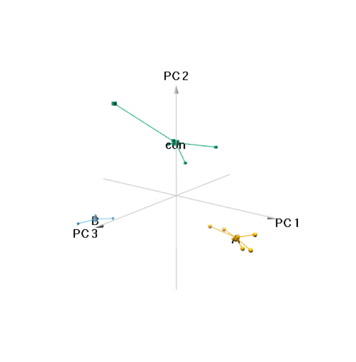 PCA主成分分析