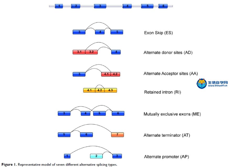 可变剪切挖掘生信文章解读 生信自学网