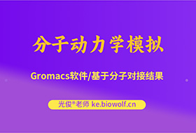 分子动力学模拟视频(Gromacs软件/基于分子对接结