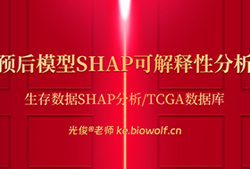 预后模型SHAP可解释性分析视频(生存数据SHAP分析