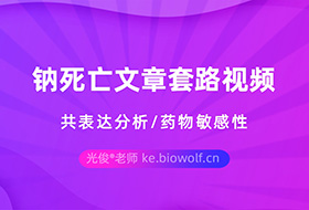 钠死亡文章套路视频(共表达分析/药物敏感性)
